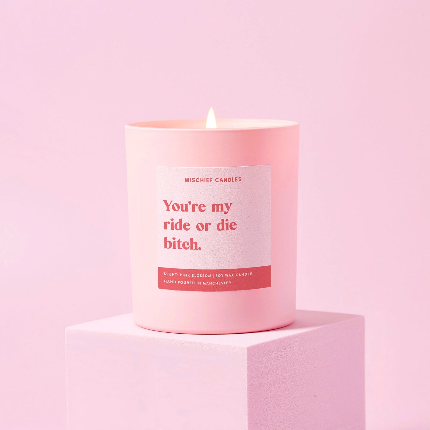 Ride or Die Bitch Friendship Gift For Her Funny Candle